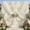 10FT(W) x 10FT(H), variant on 20x10 FT White Wedding Backdrop Curtain, Fabric Backdrop Thick Polyester Drapes, Wrinkle Free Photography Background for Party, Event, 4 Panels 5x10 FT