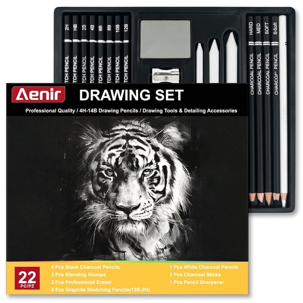 Set de 22 lápices de carboncillo Aenir Professional para dibujo