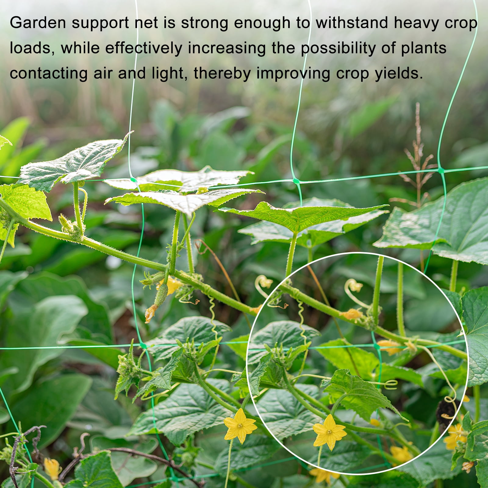 Uxcell Trellis Netting for Climbing Plants 6.6 x 16.4ft 30 Strands Heavy Duty Garden Trellis Netting Polyethylene Plant Support Net with 4" x 4" Mesh for Fruits Vegetables Cucumber