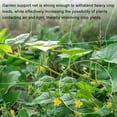 thumbnail image 4 of Uxcell Trellis Netting for Climbing Plants 6.6 x 9.8ft 27 Strands Heavy Duty Garden Trellis Netting Polyethylene Plant Support Net with 4" x 4" Mesh for Fruits Vegetables Cucumber, 4 of 6