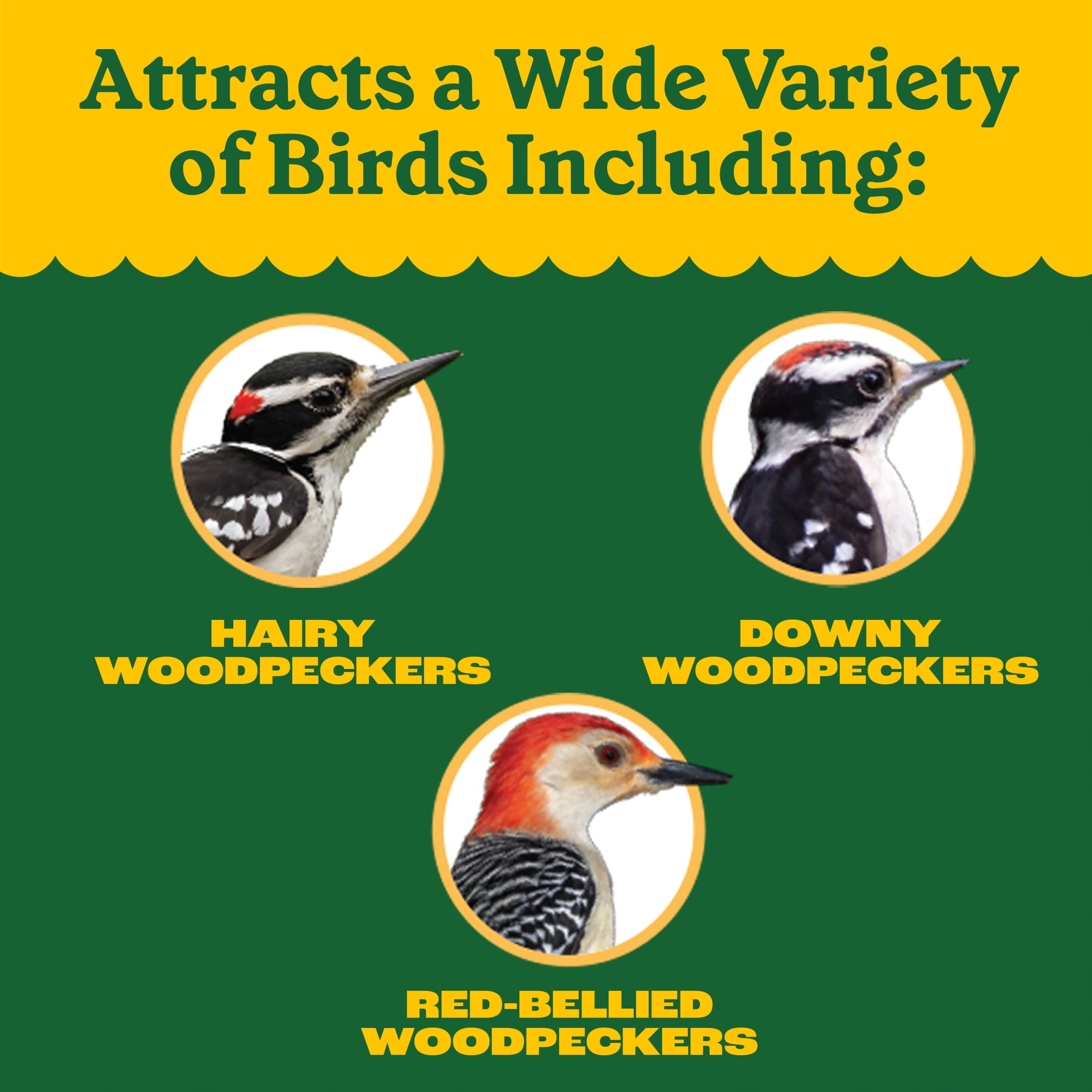 (2 pack) Pennington Woodpecker Bar Wild Dry Bird Feed and Bird Seed Cake, 11 oz., 1 Pack