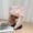 color5, variant on Winter Warm Hats Women Thickened Warm Beanie Russian Cap Windproof Ushanka Earflap Pilot Hat Womens Trend Bomber Hat Adjustable