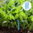 thumbnail image 4 of Sistema de riego automático por goteo para plantas de interior, 100 unidades, herramienta de riego para macetas, estaca de goteo, 4 of 6