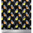 thumbnail image 1 of Soimoi Black Cotton Duck Fabric American Robin Bird Decor Fabric Printed BTY 42 Inch Wide, 1 of 3