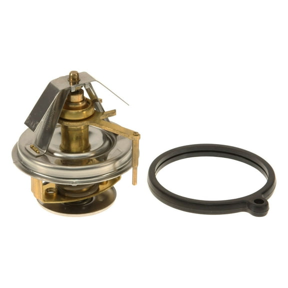 Mahle Thermostat, Behr