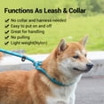 thumbnail image 3 of Reflective Slip Lead Dog Leash for Medium Large Dogs Training and Walking, 5ft Climbing Rope Leash for Dogs, Black, 3 of 10