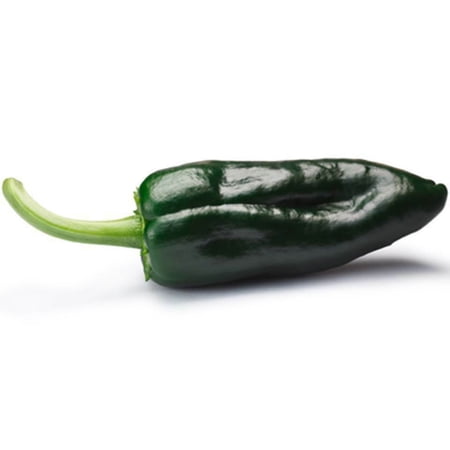 Ancho Poblano Pepper Seeds/ Perennial/ Full Sun/ 1K Seeds 1/4 oz/ Zellajake Farm and Garden - B60