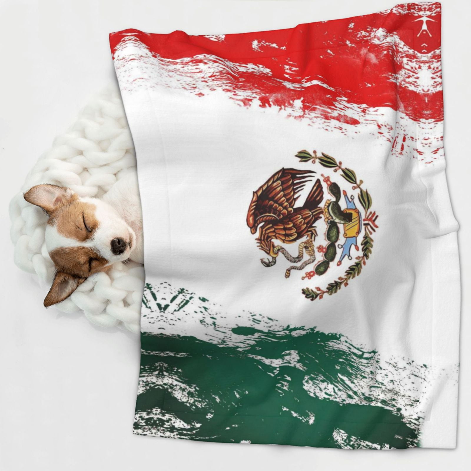 Mexican Flag Print Dog Blanket Soft Warm Flannel Cat Blanket Great Pet Throw for Cats Puppy Small Medium Large Dog