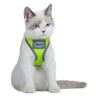 ThinkPet Reflective Breathable Soft Air Mesh No Pull Puppy Choke Free Over  Head Vest Ventilation Harness for Puppy Small Medium Dogs and Cats(XXS,Neon