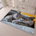 thumbnail image 1 of Yellow Eyes 3D Printed Area Rug Animal Grey Cat Non-Slip Low Pile Carpet for Living Room Bedroom, Kids Room and Home Decor, Durable Machine Washable Breathable Indoor Floor Mat 6 X 9 Ft, 1 of 7
