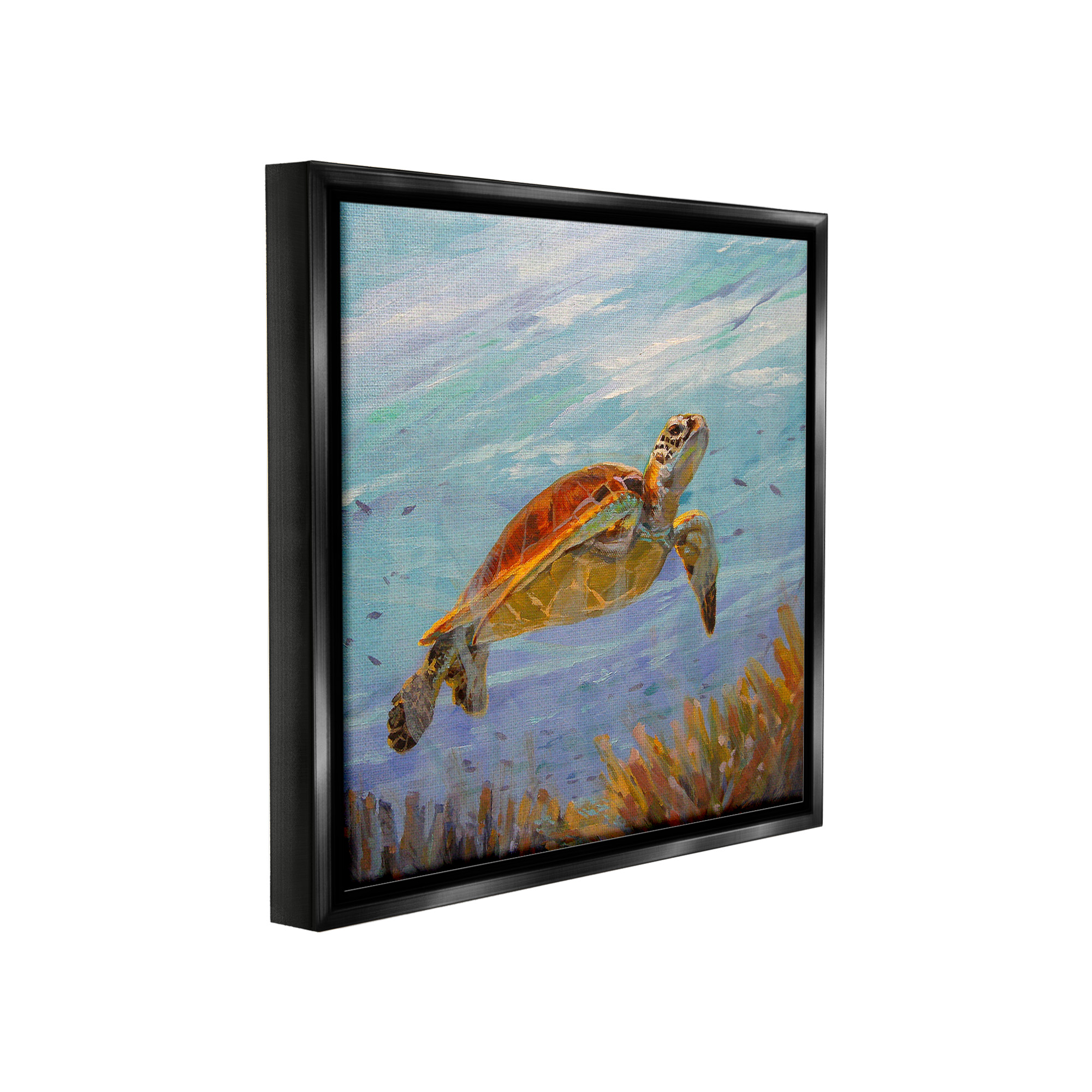 Stupell Industries Turtle Among Coral Reef Animals & Insects Painting Black Floater Framed Canvas Art Print Wall Art, 25 x 25