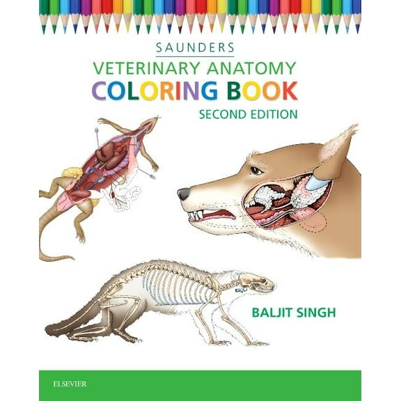 Veterinary Anatomy Coloring Book, (Paperback)