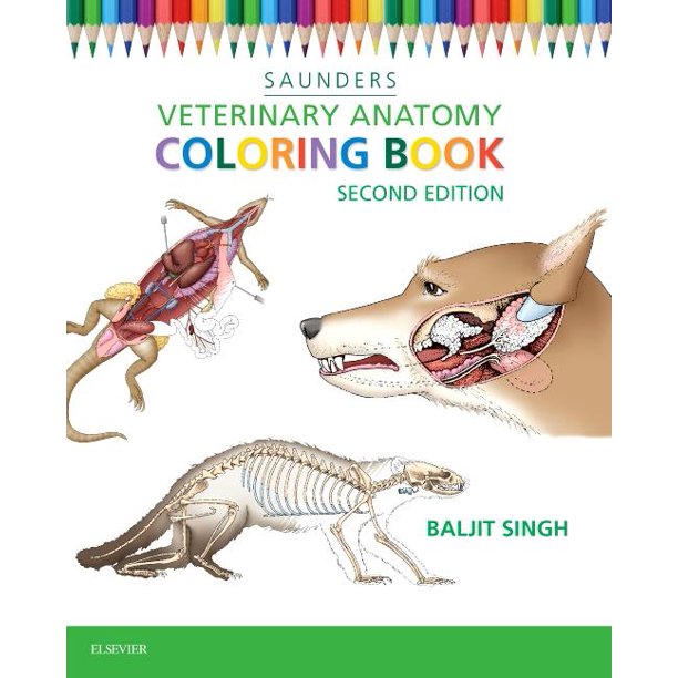 Veterinary Anatomy Coloring Book (Edition 2) (Paperback)
