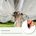 thumbnail image 2 of Garden Plant Insect-proof Mesh Bag - Insect Shield Net Cover for Orchard and Courtyard (white,60 mesh thickened zipper 70*100cm), 2 of 5