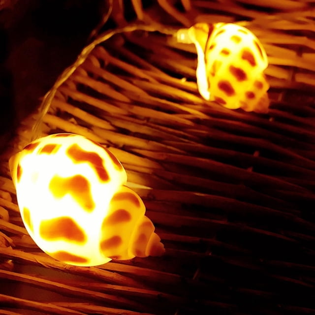 String Light, 10pcs Real Beach Conchs LED Light Decor Natural Marine Style Conch Shape for Decorate Your Bedroom Living Room or Garden