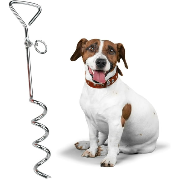 MeasuPro Chrome Dog Stake - Stainless Steel Heavy-Duty Outdoor Tie-Out for Dogs Play Boundary for Puppies & Adult Dogs