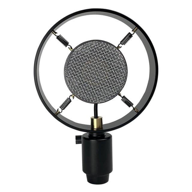 Dsseng Professional Microphone Condenser Microphone Vintage Recording Studio Microphone for Live Radio Boardcasting Singing