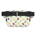 thumbnail image 3 of Disketp Insects Riñonera de Doble Capa, Bolsa de Cintura Ajustable para Viajes, Correr y Senderismo, Riñonera Ligera para Hombre y Mujer, 3 of 9