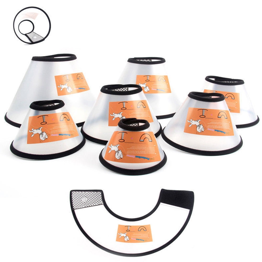 Dog cone walmart canada online