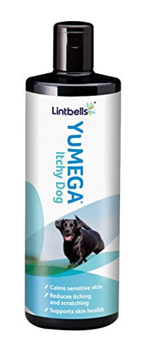 lintbells itchy dog