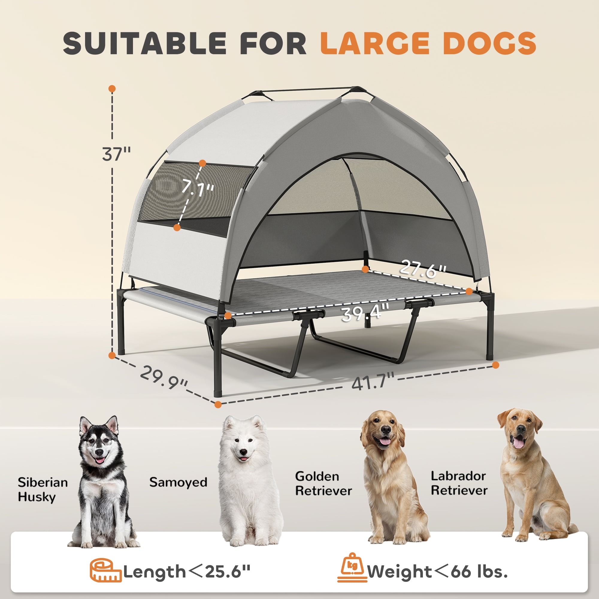 Raised Pet Cot, Elevated Portable Dog Cot