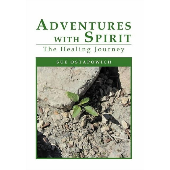 Adventures with Spirit: The Healing Journey (Hardcover)