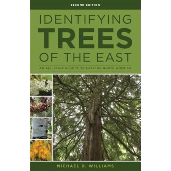 Pre-Owned Identifying Trees of the East : An All-Season Guide to Eastern North America (Edition 2) (Paperback)