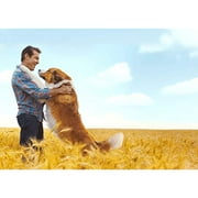A Dogs Journey / A Dogs Purpose 2-Movie Collection (DVD)