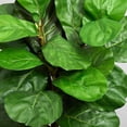 thumbnail image 4 of Nearly Natural 5.5' Fiddle Leaf Artificial Tree in White Tower Planter, Green, 4 of 4