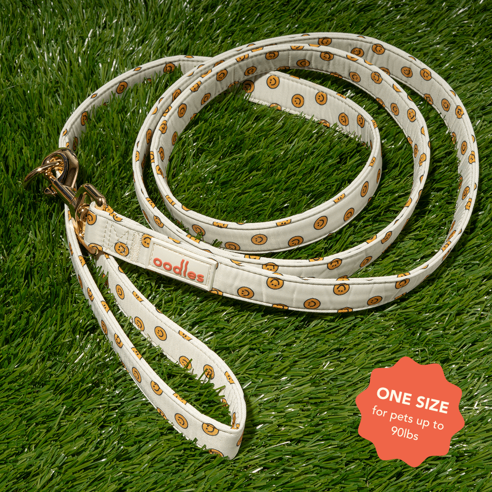 Oodles Tan Smiley Faces Standard Dog Leash, 6ft