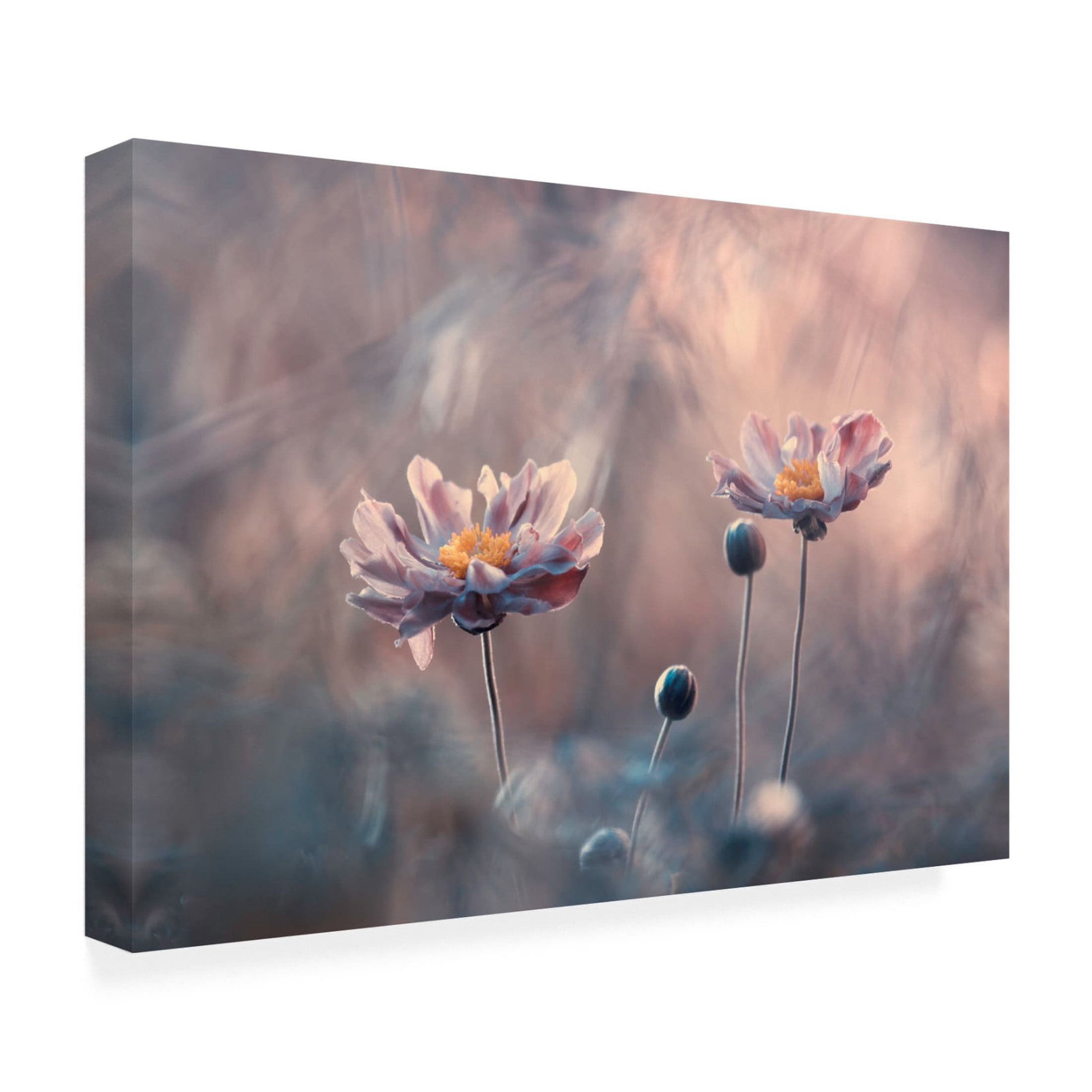 Canvas Wall Art - Fabien Bravin 'With Love' Wall Art for Living Room, Bedroom, or Office D?cor by Trademark Fine Art - 32 x 22 Inches