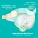 thumbnail image 5 of Pañales Pampers Swaddlers ultrasuaves, tamaño 3, 78 unidades, 5 of 8