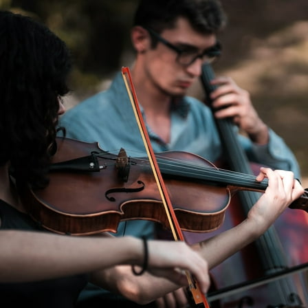 FOMIYES Violin Bow Accessories Horse Hair Wood Serious Players 1Pack