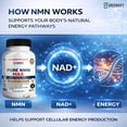 thumbnail image 4 of GreenVify Renew Skin & Cellular Pure NMN Max Supplement – Supports Cellular Energy, Skin Health & Daily Wellness, 4 of 5