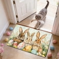thumbnail image 6 of Easter Door Mat Non Slip Absorbent Floor Rug, Washable Kitchen Mat for Entrance Porch Bathroom Decor, Holiday Themed Indoor Outdoor Carpet for Home(A), 6 of 6