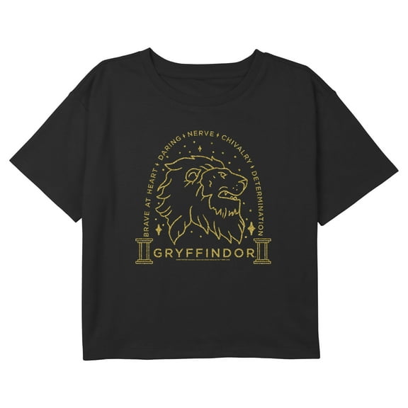 Girl's Harry Potter Gryffindor Line Art Emblem Graphic Cropped T-Shirt Black Medium