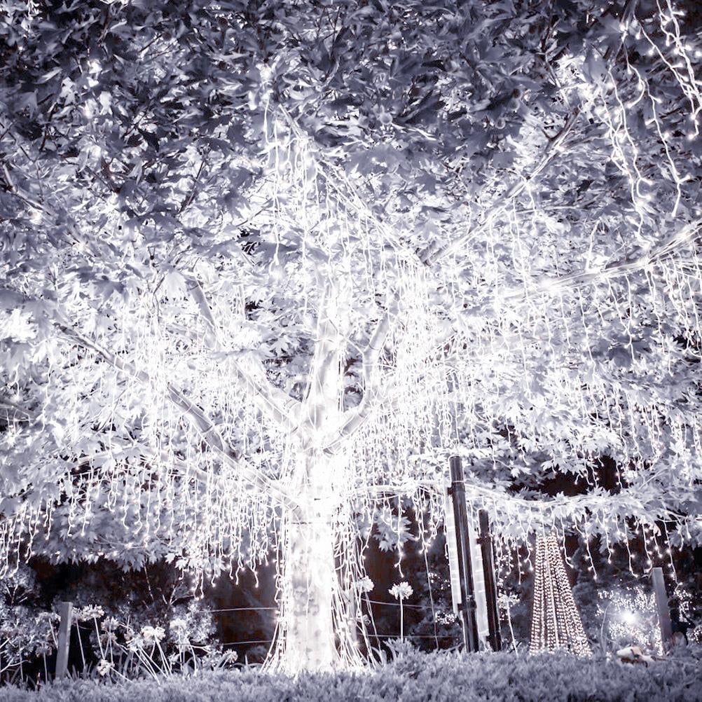 Rideaux Lumineux Led, Guirlandes Lumineuses Rideaux Intérieur Extérieur À Piles 94 Leds 8 Modes