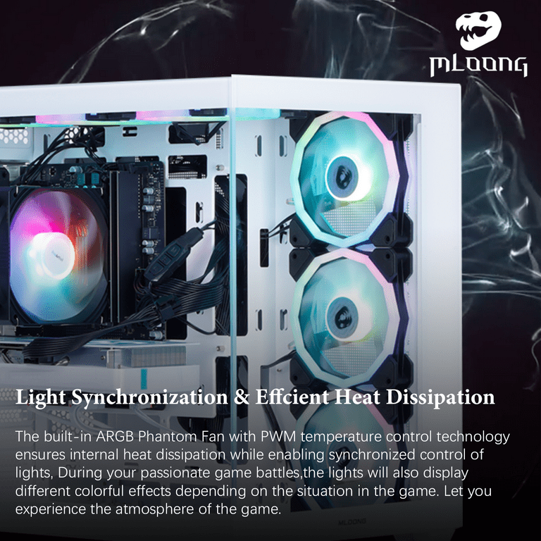 Mloong Gaming PC Desktop, AMD Ryzen5 5500, Radeon RX 6600