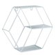 thumbnail image 1 of Estante Para Plantas Estantes Hexagonales Hexagonal Simple De Hierro Forjado, 1 of 8