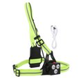thumbnail image 2 of Cycling Lamp Practical Night Running Light for Camping Outdoor Travel Night Running, 2 of 8