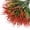 Red and Green, variant on Yastouay Artificial Plants Outdoor,12 Bundles Fake Bushes Fall Plants UV Resistant for Garden,Front Porch(Red Green)