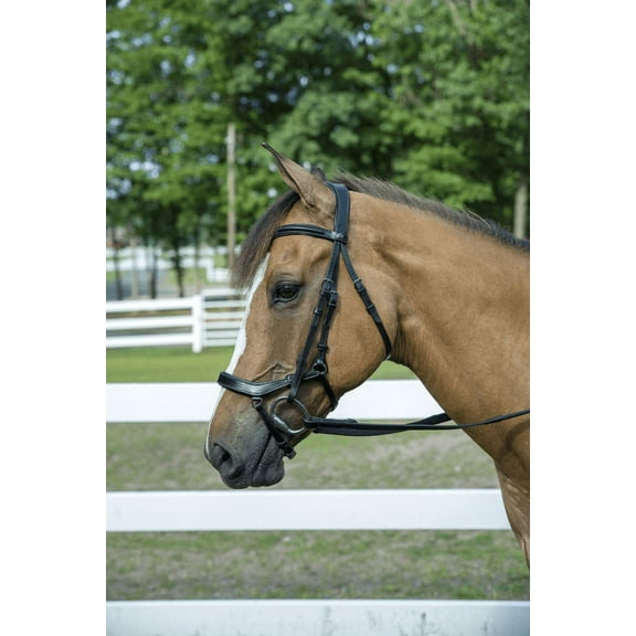 Henri de Rivel Pro Anatomical Bridle - Black - Oversize