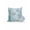 Blue Green Orange, variant on 1 Pack Outdoor Pillows Waterproof, Coastal Starfish Indoor/Outdoor Throw Pillows with Inserts, Nautical Ocean Creature Eucalyptus Leaf Decorative Pillow for Patio Furniture Chairs Couch