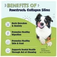thumbnail image 3 of Pawstruck Natural 6” Beef Collagen Slims, Single Ingredient Chew Sticks for Dogs, 8pk, 3 of 9