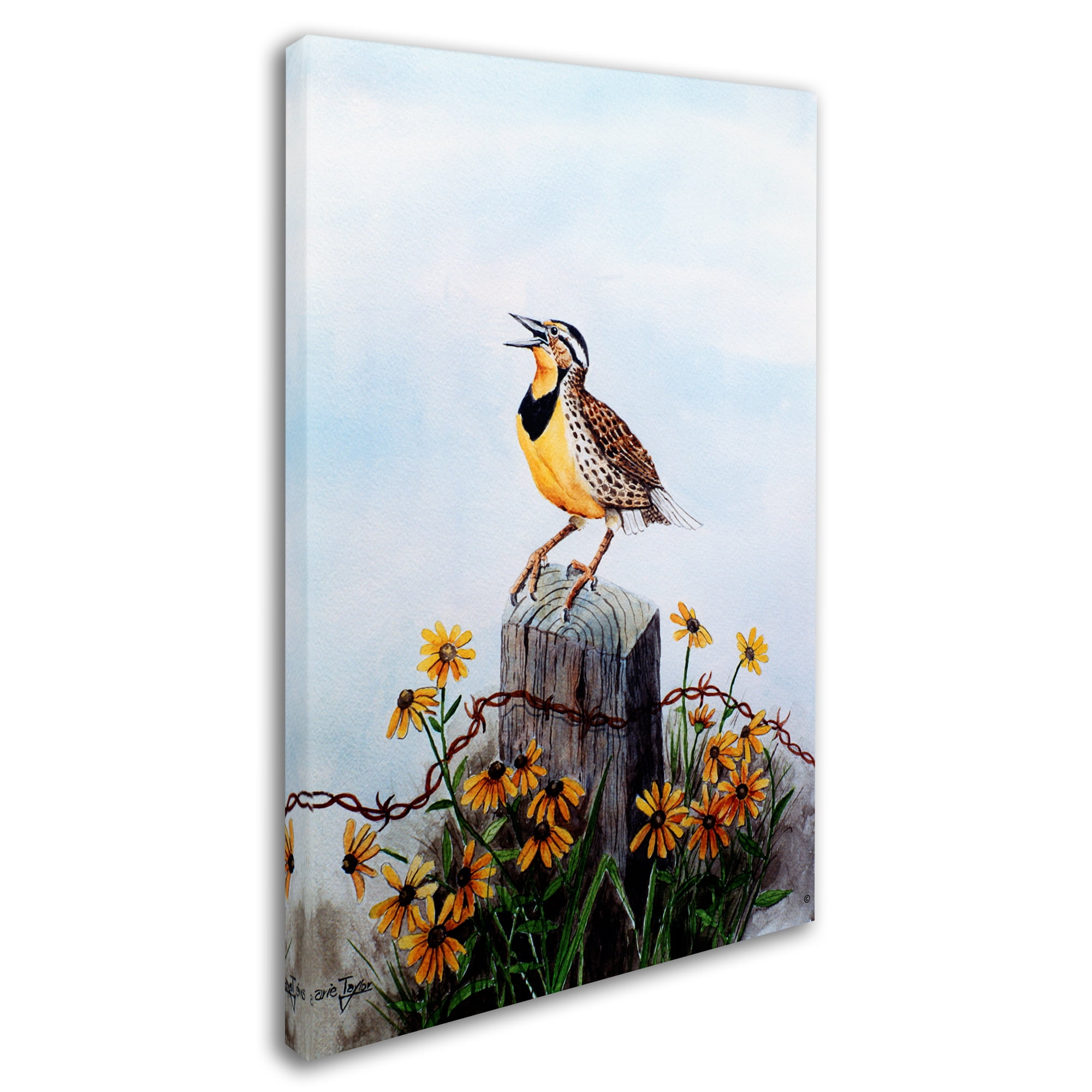 Trademark Fine Art 'Meadowlark 3' Canvas Art by Arie Reinhardt Taylor