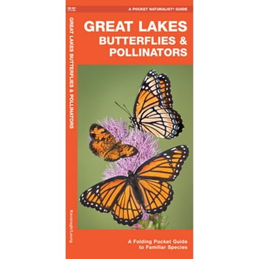 Great Lakes Butterflies & Pollinators : A Folding Pocket Guide to Familiar Species (Other)