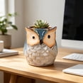 thumbnail image 5 of Cute Owl Ceramic Planter 2.6 Inch, Small Succulent Cactus Flower Pot for Indoor Outdoor Home Office Decor, Animal Style Tabletop Garden Decor Pot Gift, 5 of 6
