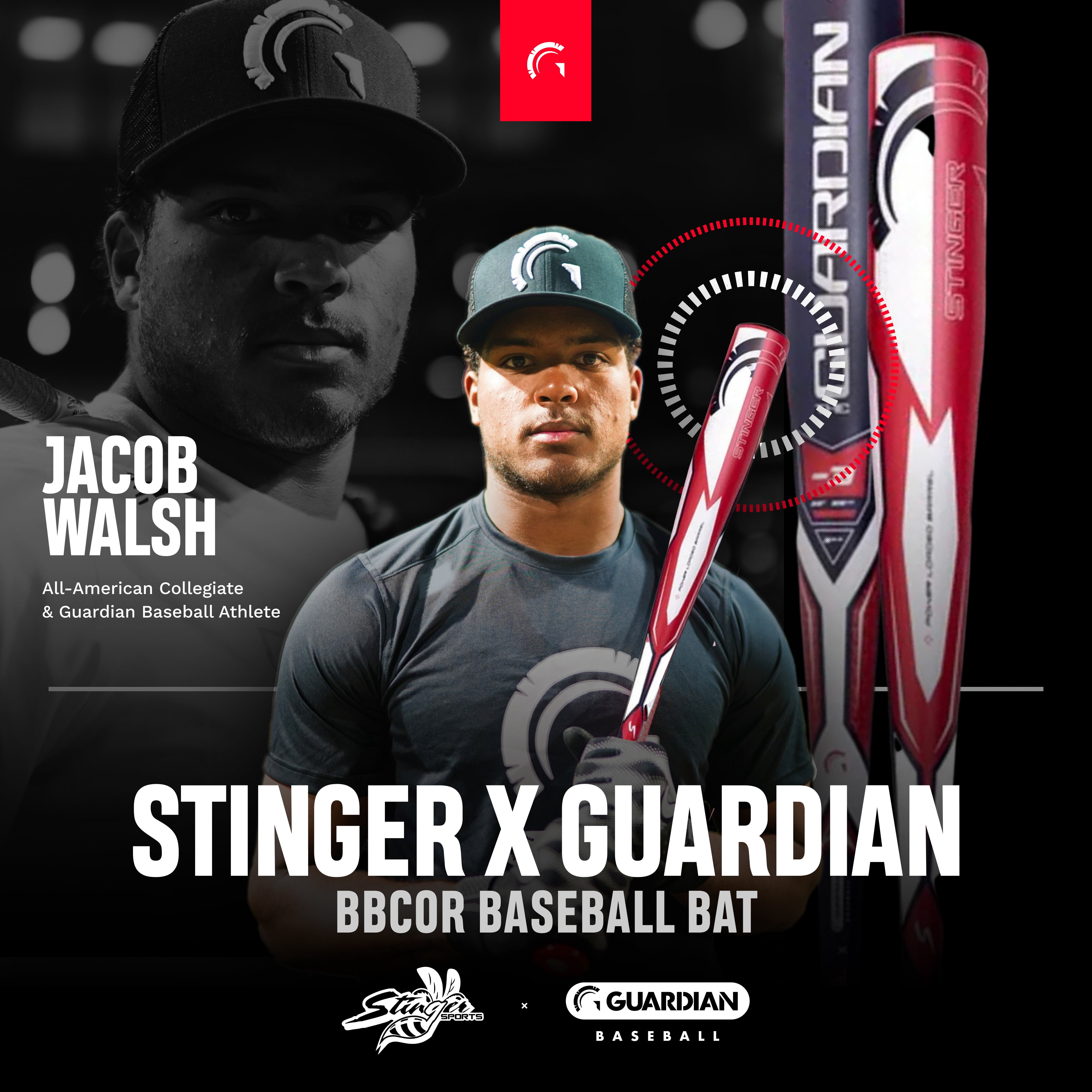 Guardian Baseball X Stinger The Guardian BBCOR 2 5/8" Aluminum Baseball Bat Drop -3