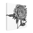 thumbnail image 2 of Trademark Fine Art 'Flowers in Grey II' Canvas Art by Melissa Wang, 2 of 4