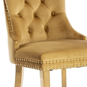 082 Gold Velvet, Gold Legs